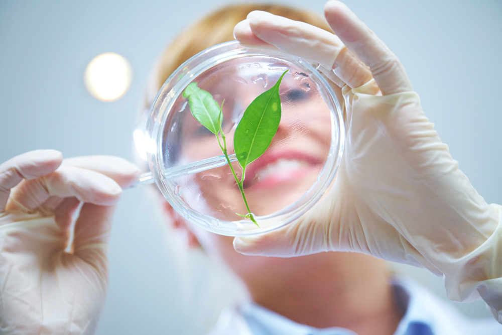 Gesundheit und Lebenswissenschaften